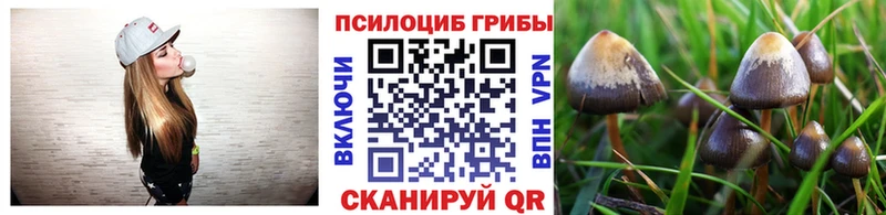 Псилоцибиновые грибы GOLDEN TEACHER  Купить где  Элиста 